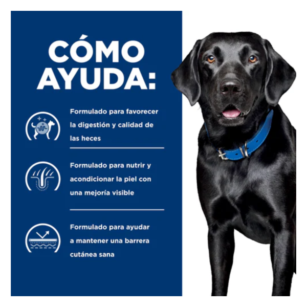 Hill's Prescription Diet Perro DD Salmón como ayuda