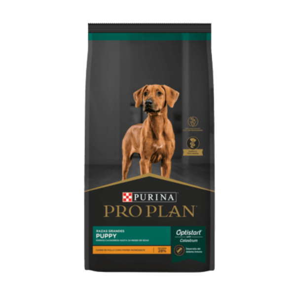 proplan puppy raza grande