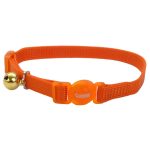 Collar Coastal Gato Safe NARANJA