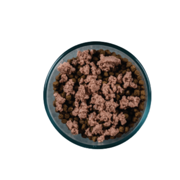 Evolve classic deals crafted meals