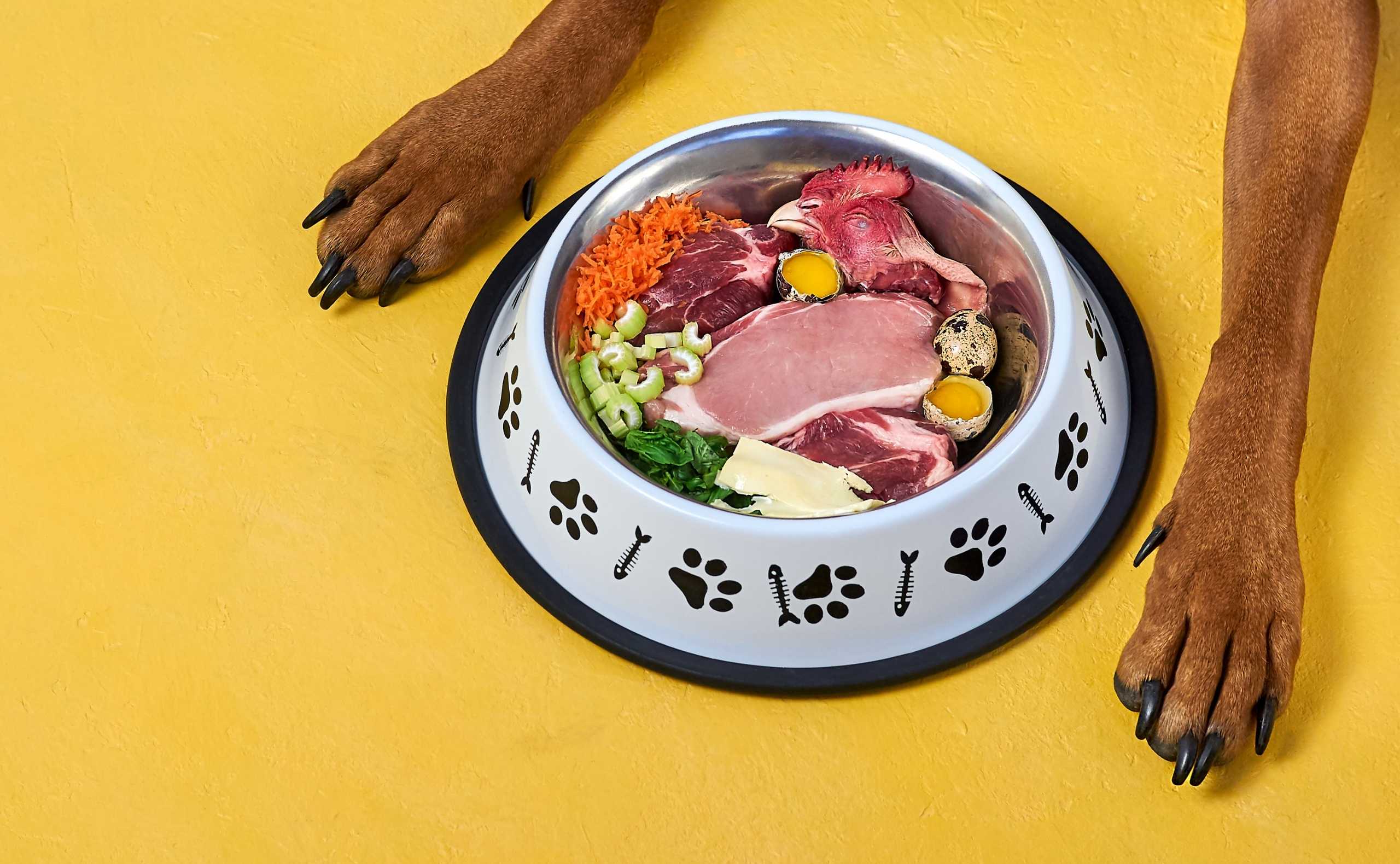entidad cada En respuesta a la Dietas BARF en perros y gatos te contamos todo | Doggys Market