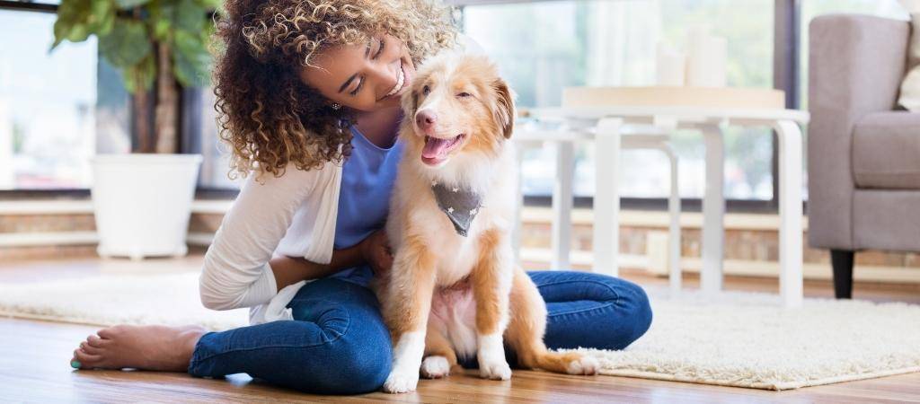 cuidar a cachorro en casa