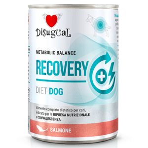 Disugual Perro Lata Recovery Diet Salmón