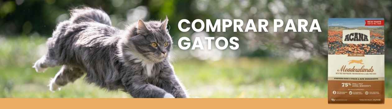 Acana para gatos
