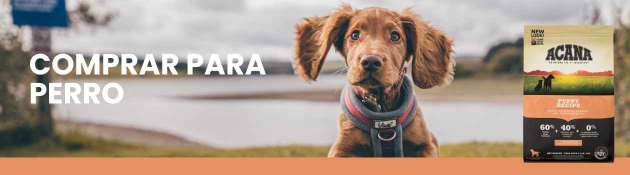 Acana para perros