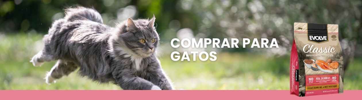 Alimentos evolve para gatos
