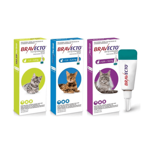 Bravecto Spot On Gatos - Imagen 1