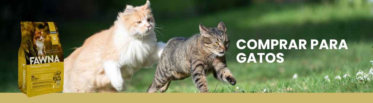 Comida Fawna para gatos
