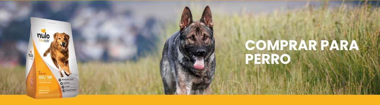 Comida Nulo para perros