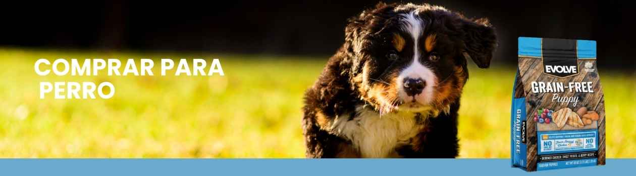 Comida evolve para perros