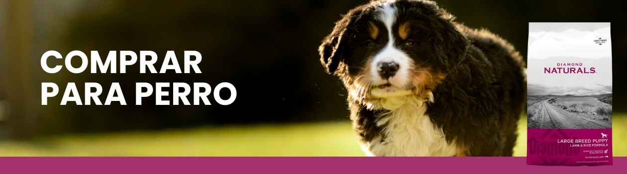 Diamond Naturals para Perros