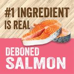 Alimento Evolve Classic Salmón para Gatos - Imagen 3