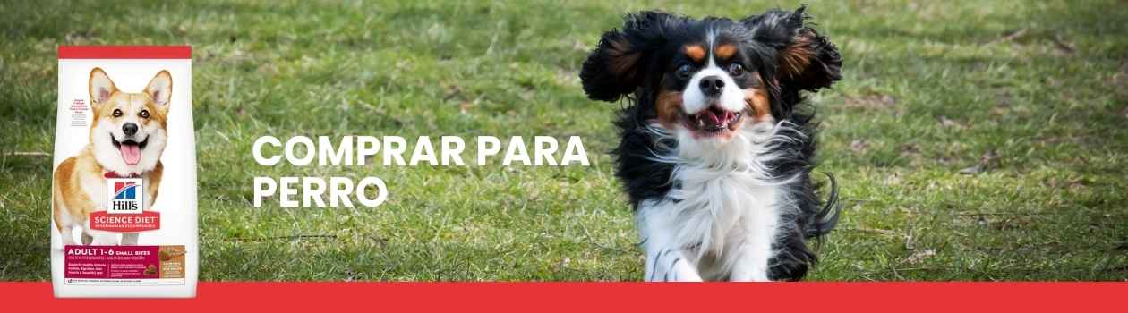 Hills Science diet para perros