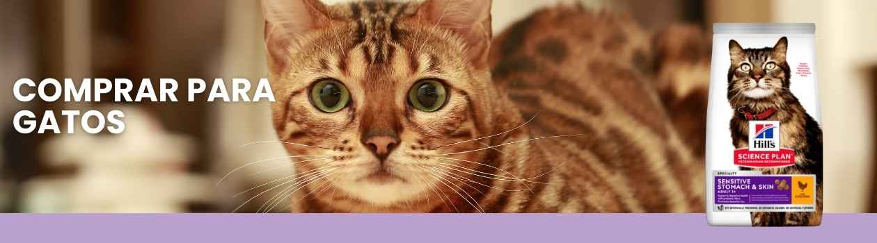 Hills science diet para gatos