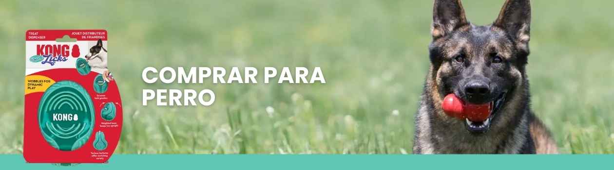 Juguetes kong para perros