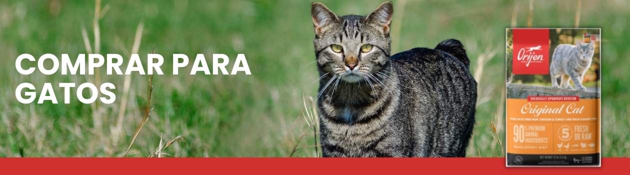 Orijen para Gatos