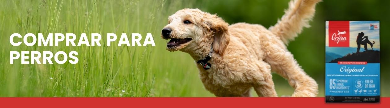 Orijen para Perro