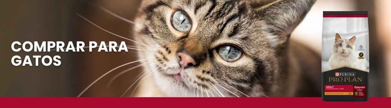 Purina para gatos pro plan