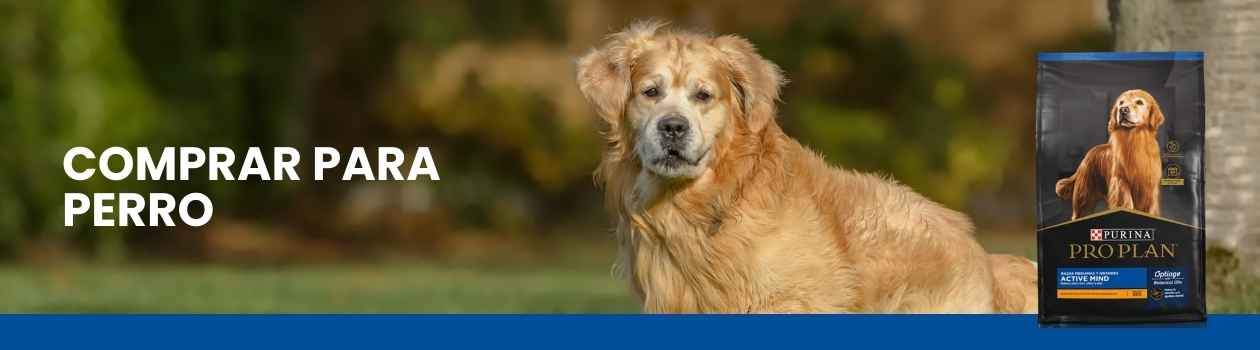 Purina pro plan para perros