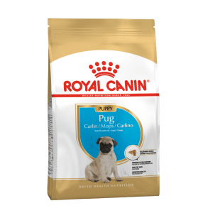 Royal Canin Pug Puppy