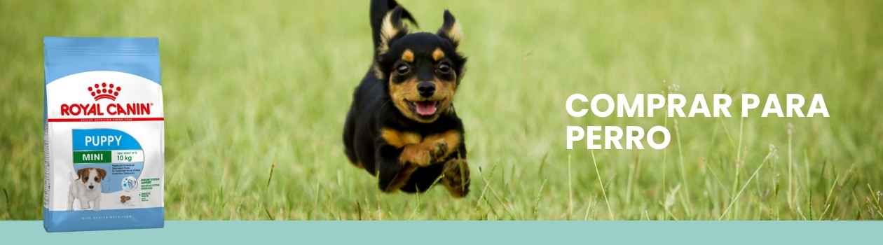 Royal canin para perros