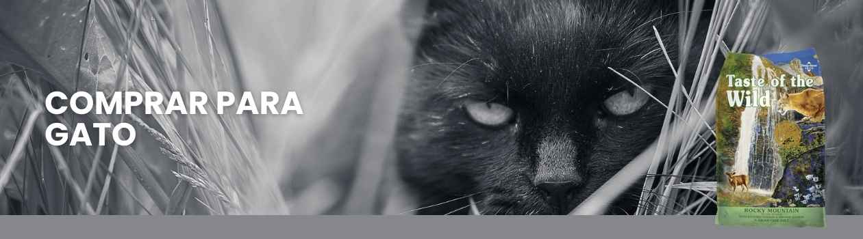 Taste of the wild para gato
