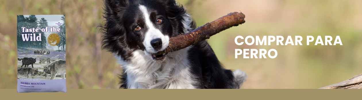 Taste of the wild para perro
