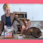 Alimento Evolve Classic Salmón para Gatos - Imagen 5