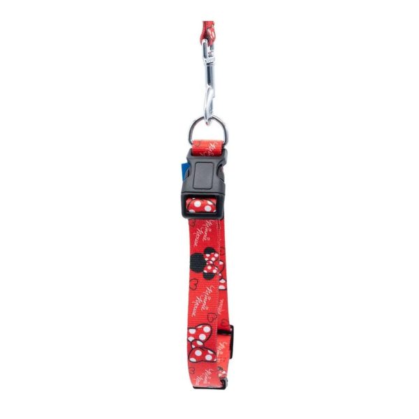 Primavera Collar Perro Minnie Mouse - Imagen 2