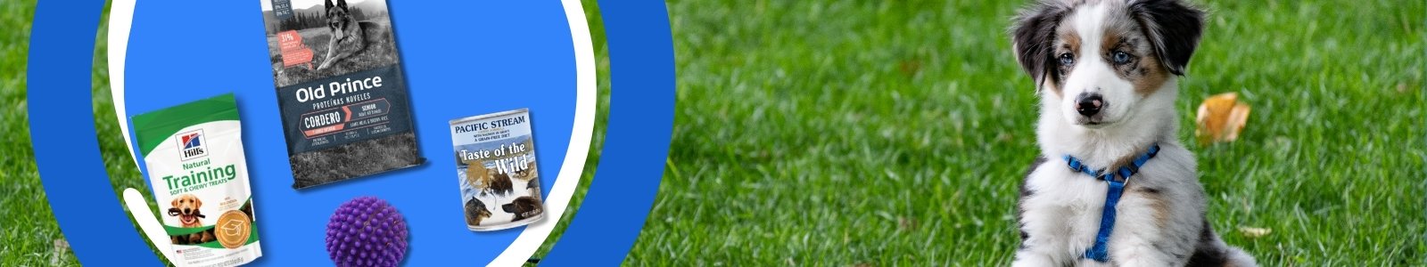 Productos para perros de calidad