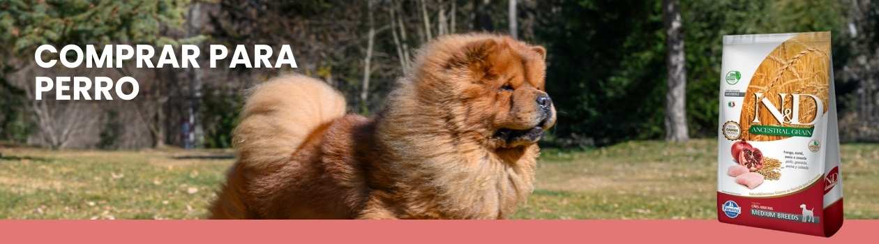Alimento N&D para perros