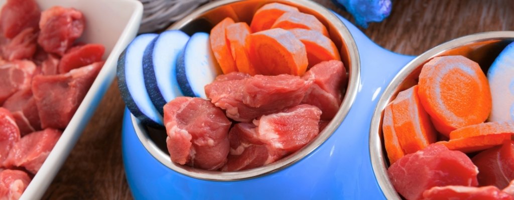 tipos de comida casera que puede comer un perro
