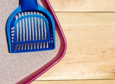 marcas de arena para gatos